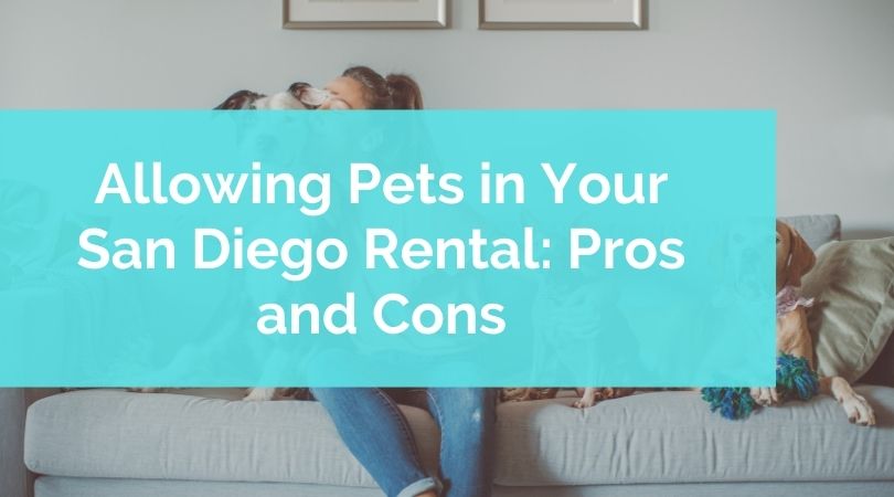 Property Management Blog